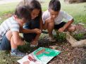 Beyond ABCs: Why ‘Loose Parts’ Play Is the Secret Sauce in Early Childhood Education