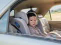 Vehicle Safety Tips for Summer